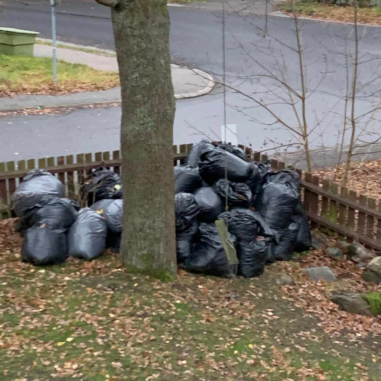 image of Ca 30-35 säckar med löv - Lidingö