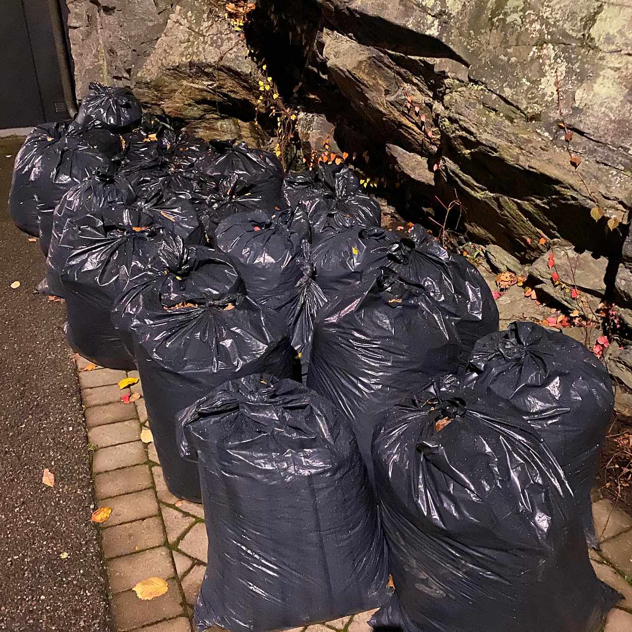 image of Ca 30 sopsäckar med löv - Saltsjöbaden
