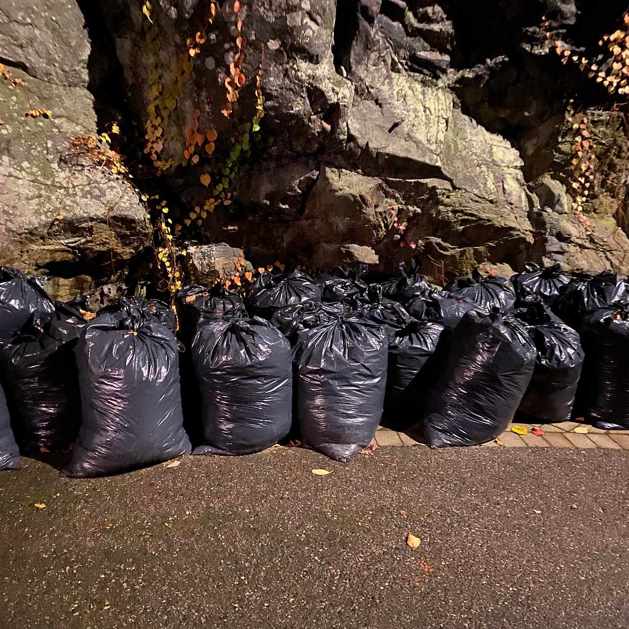 image of Ca 30 sopsäckar med löv - Saltsjöbaden