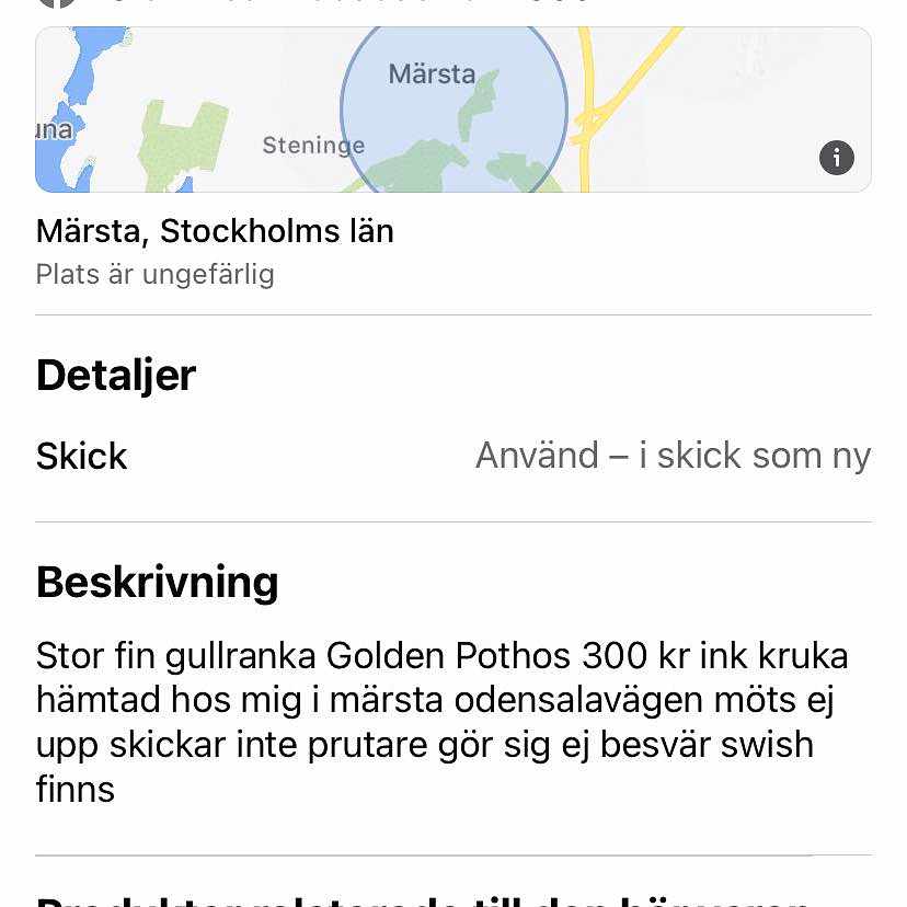 image of Stor gullranka - 