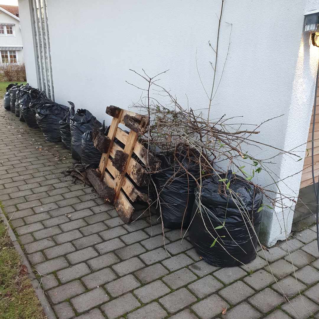 image of 14 säckar löv, 1 lastpall - Danderyd