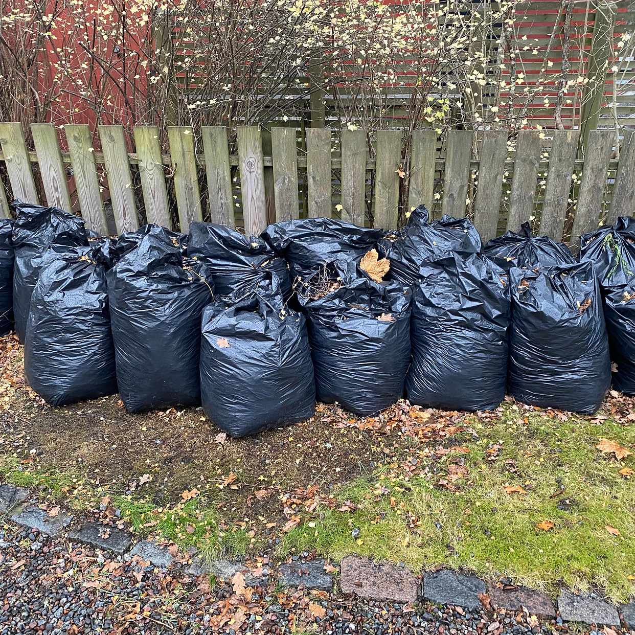 image of 15 säckar med löv - Lidingö