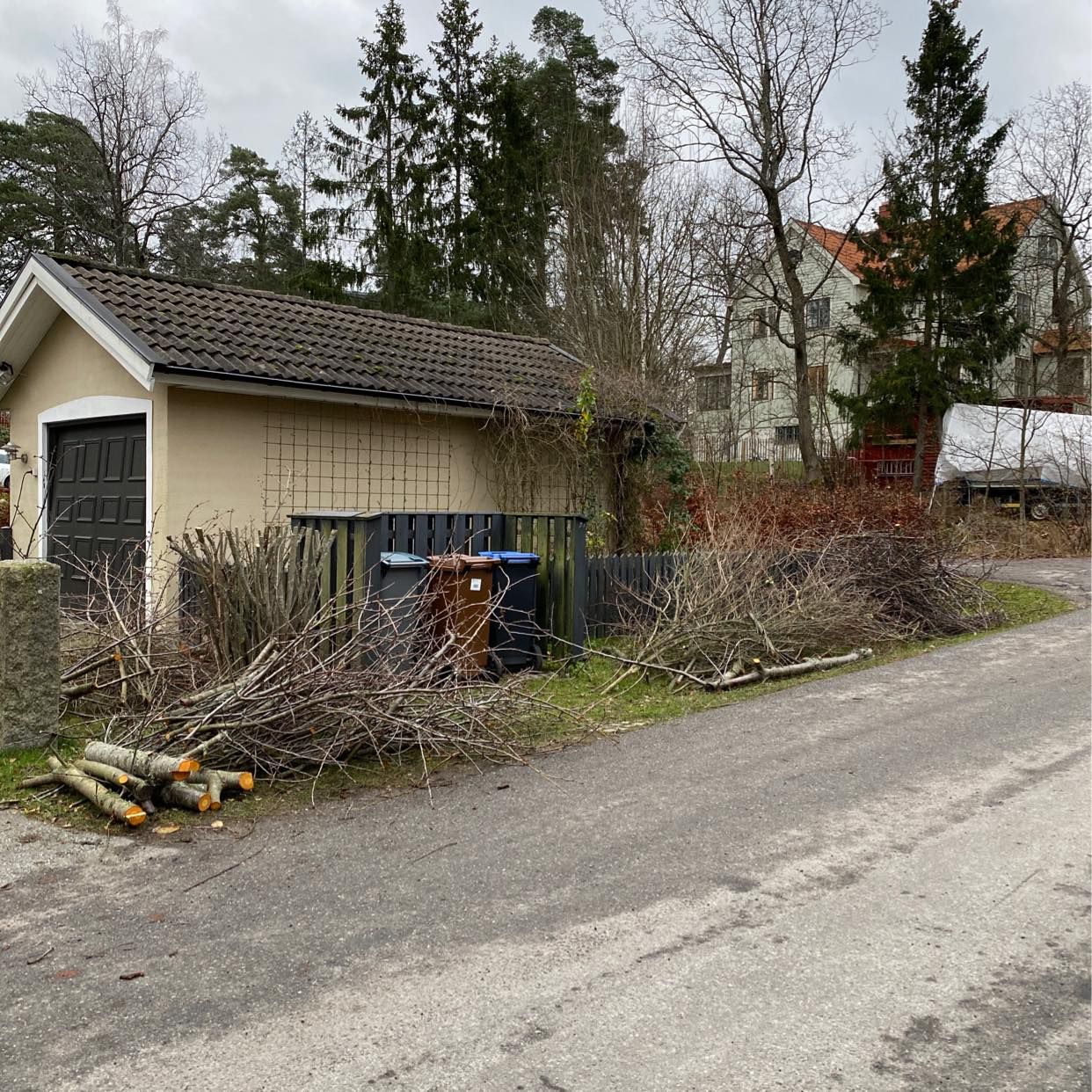 image of Grenar och kvistar - Stocksund