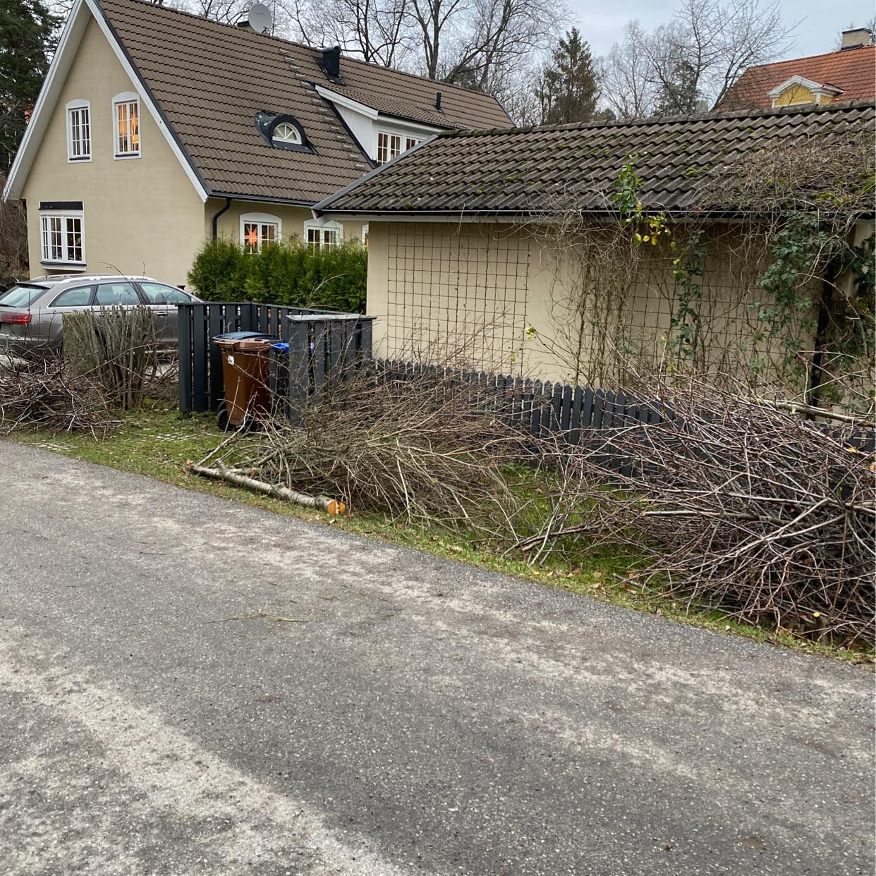 image of Grenar och kvistar - Stocksund