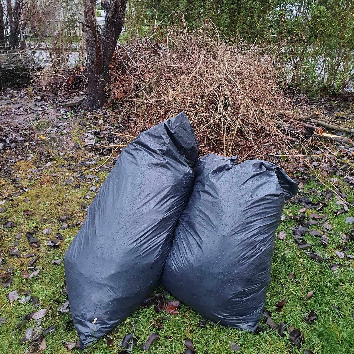image of Grenar, ris, 2 säckar löv - Enskede