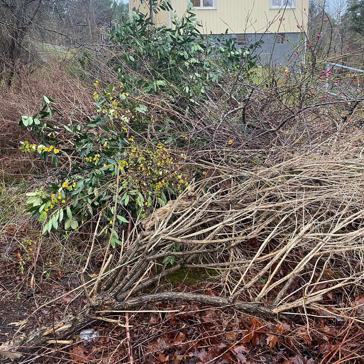image of Två st högar med ris mm - Bromma