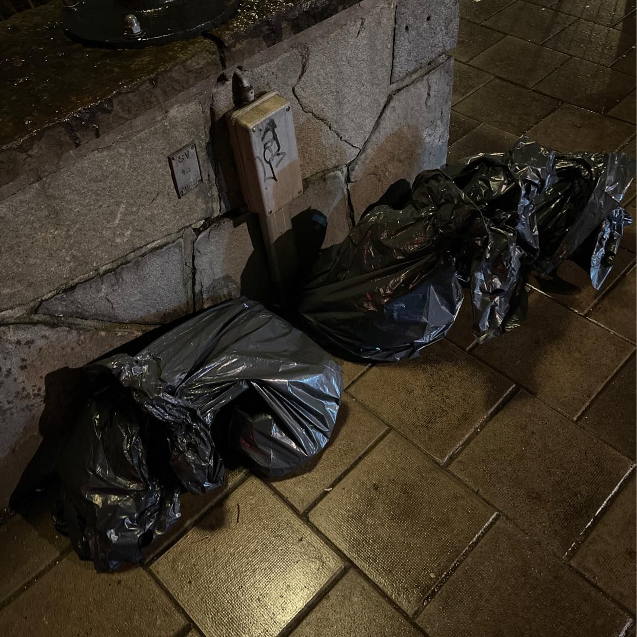 image of 3 bags with garden waste - Stockholm
