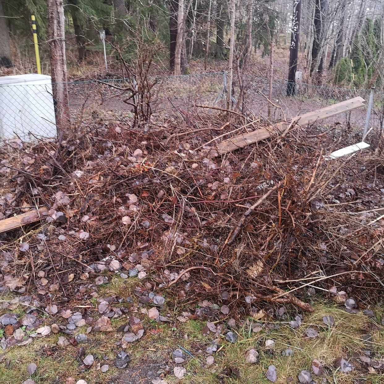 image of Ris, trädklipp och pallar - Enskede