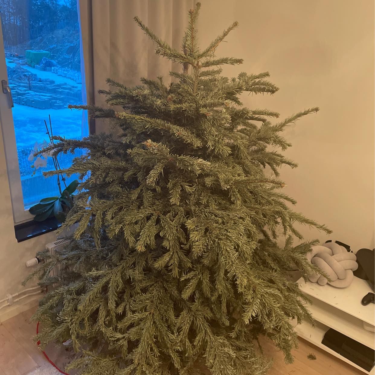 image of Christmas tree - Solna