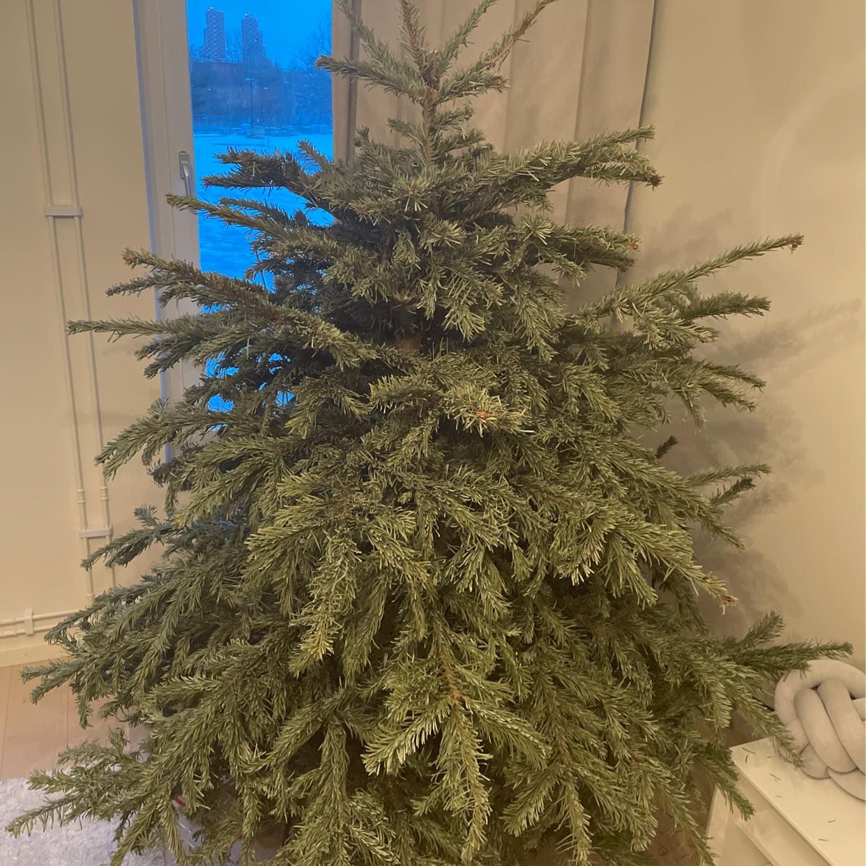 image of Christmas tree - Solna