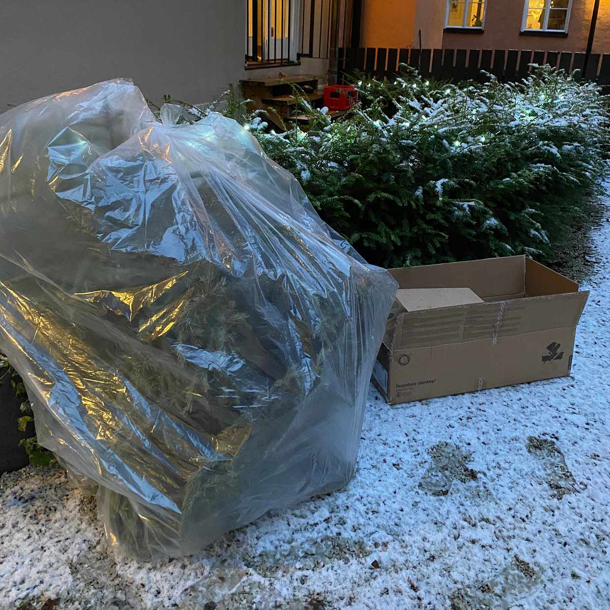 image of Julgran och kartong - Stockholm