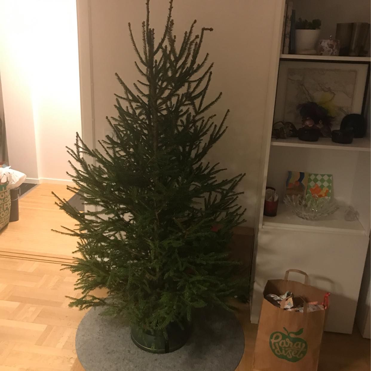 image of Julgran aka slängas - Stockholm City