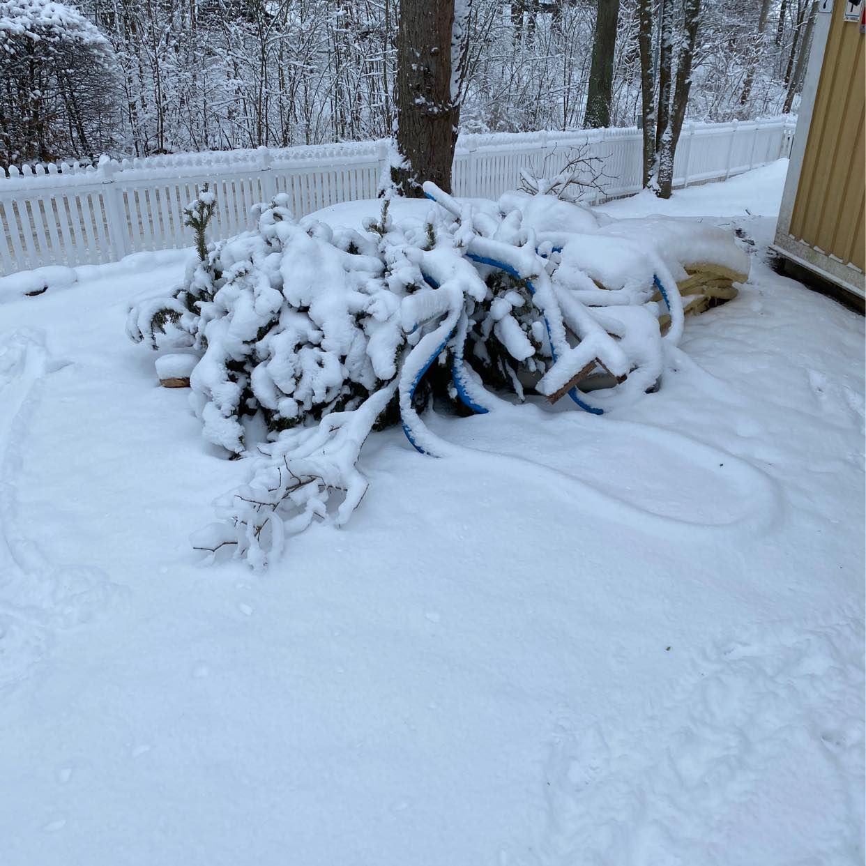 image of Remove christmas tree - Djursholm
