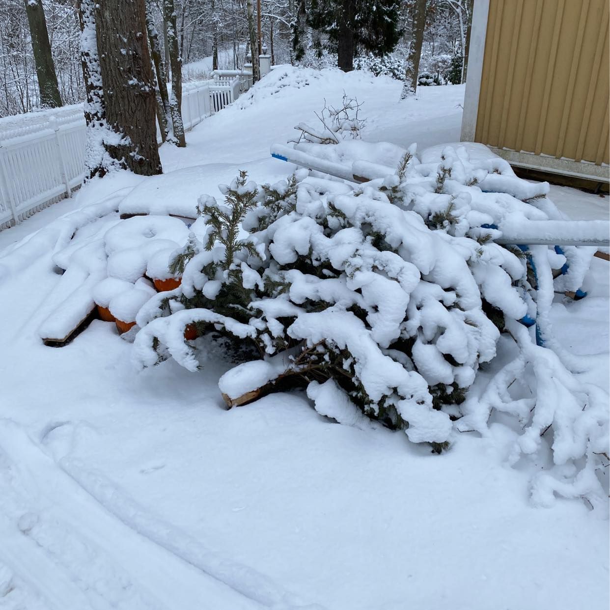 image of Remove christmas tree - Djursholm