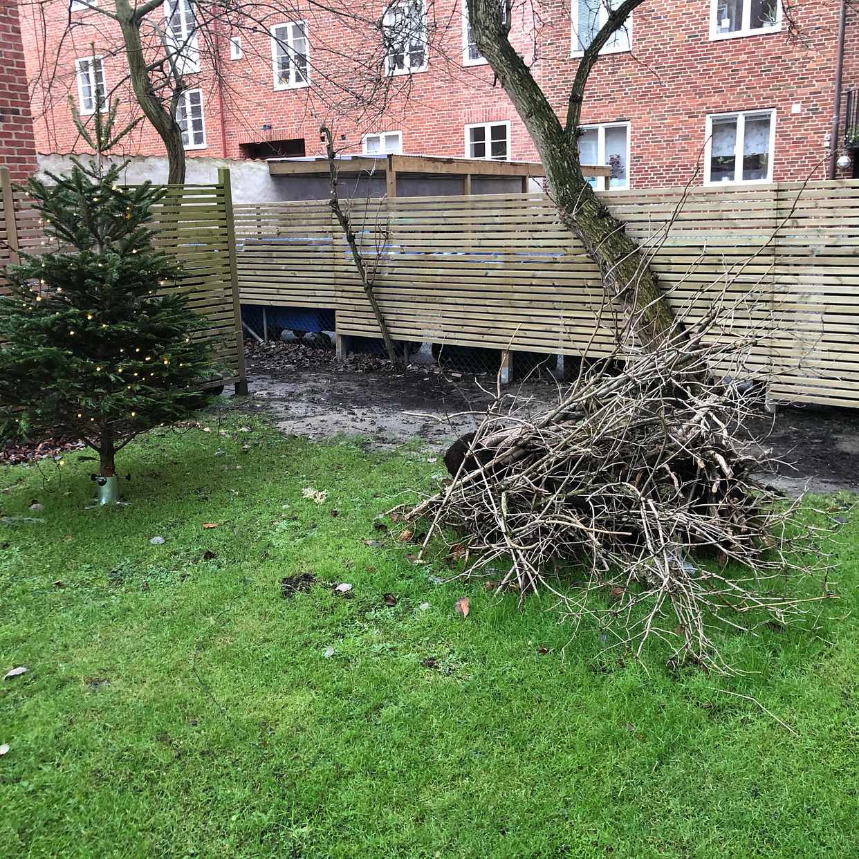 image of HämtaTrädgårdsavfall+Gran - Malmö