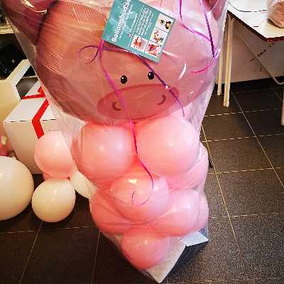 image of Ballongpresent - 