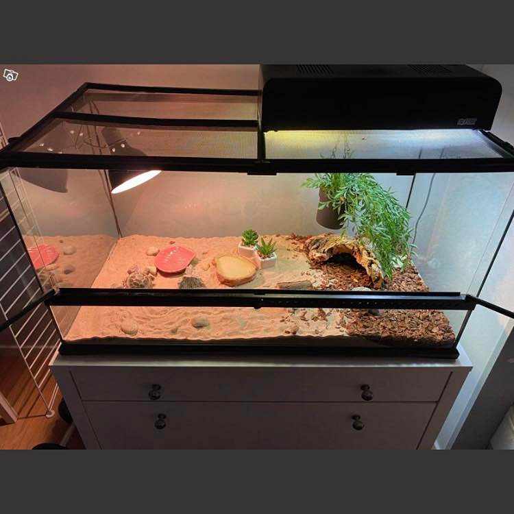 image of Terrarium med Bank - 