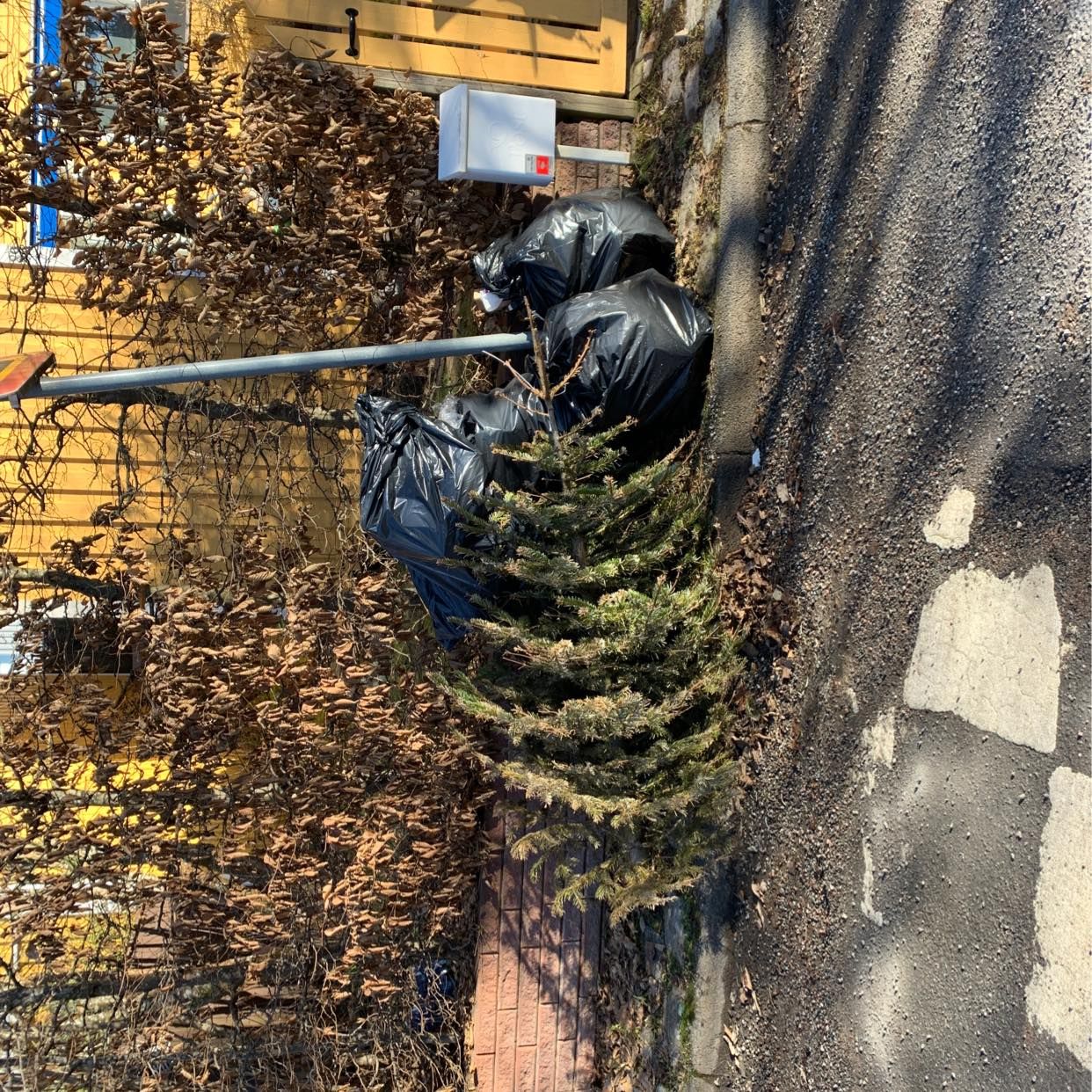 image of Kartonger soppåsar  gran - Kista