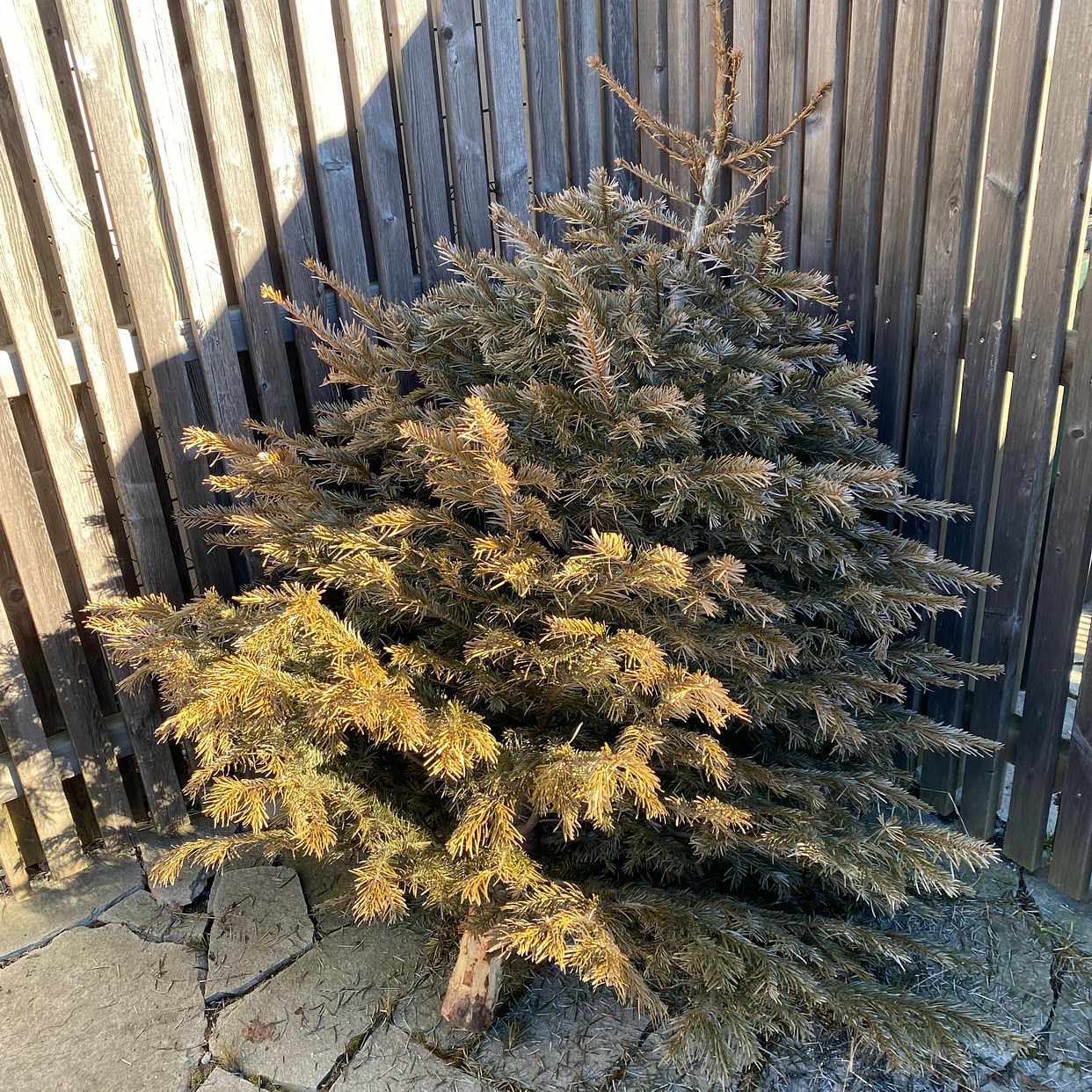 image of Trädgårdsavfall! - Bromma