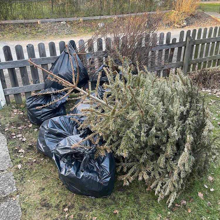 image of 10 bags of garden waste - Saltsjö-Boo