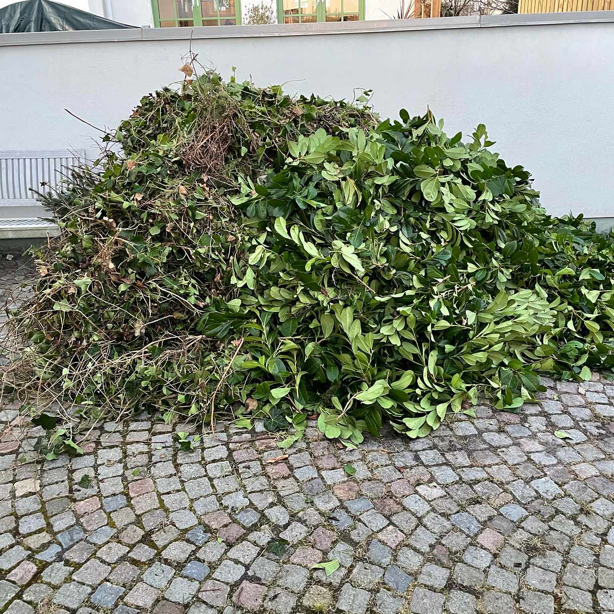 image of Trädgårdsavfall - Malmö