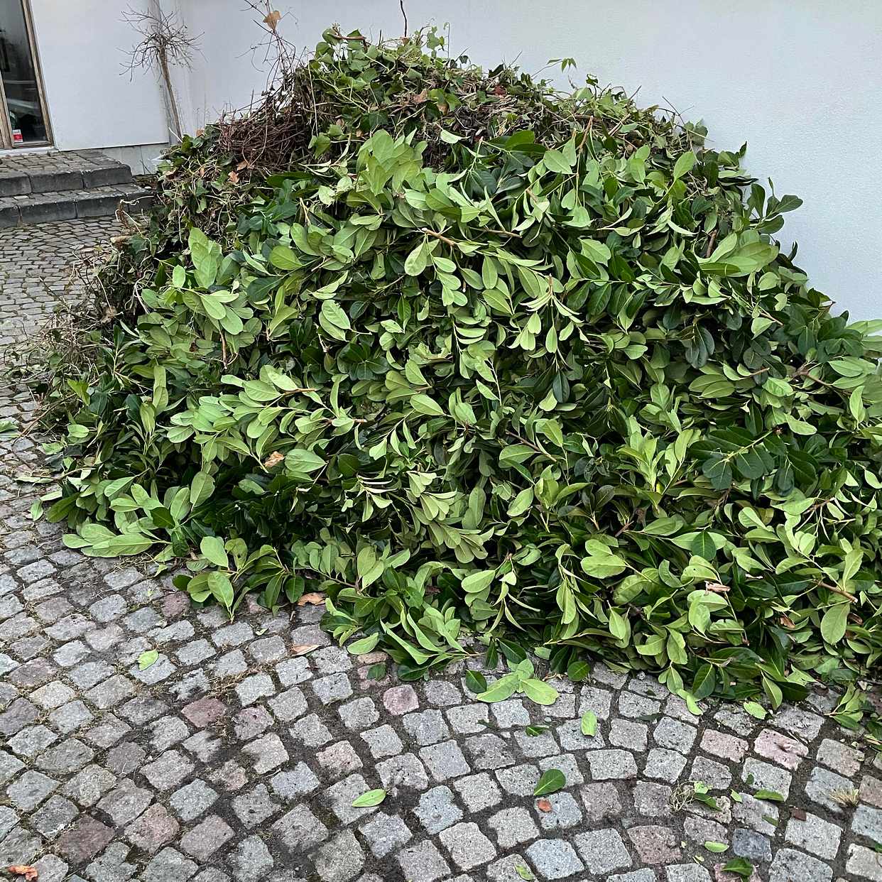 image of Trädgårdsavfall - Malmö