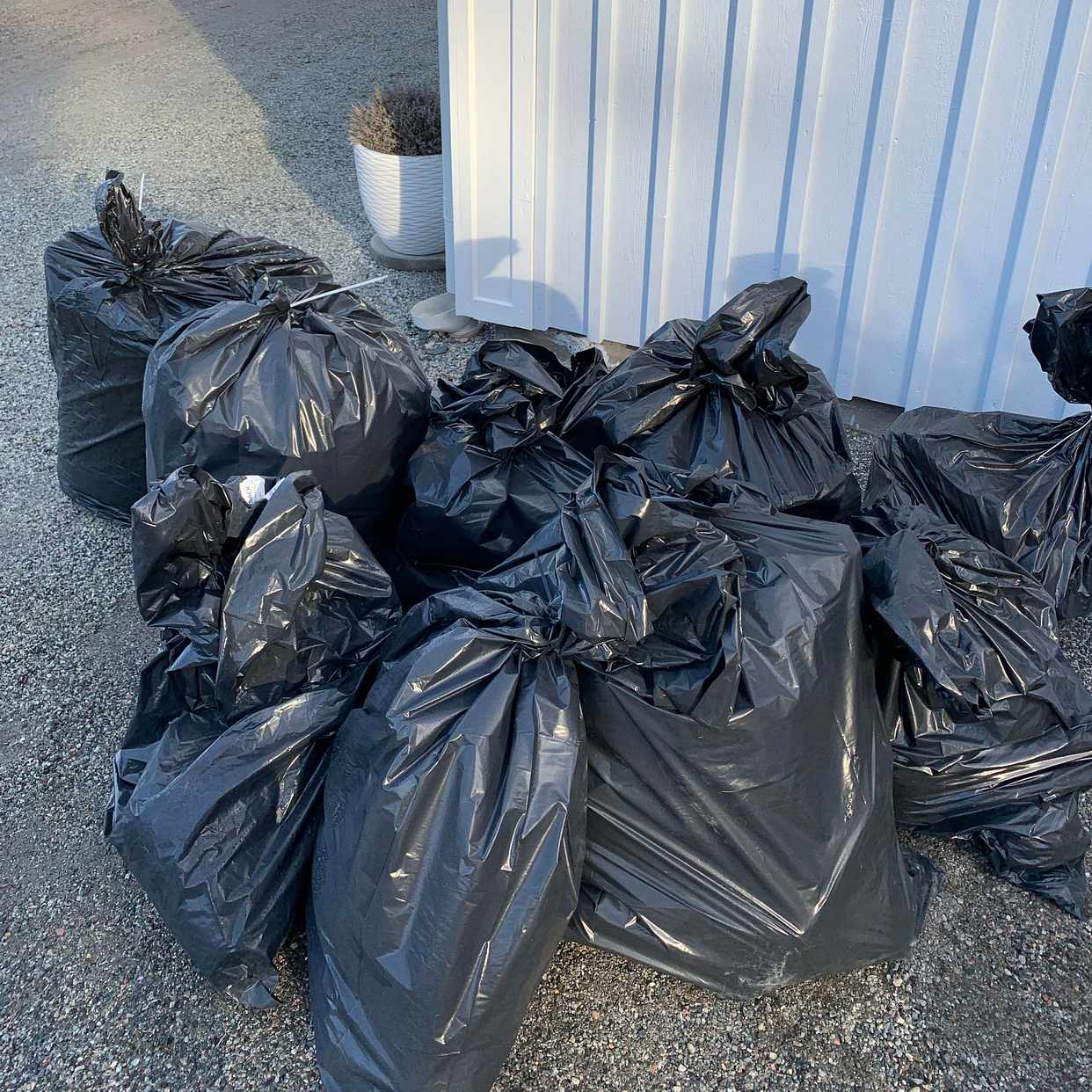 image of 10 sopsäckar, granar mm - Vaxholm