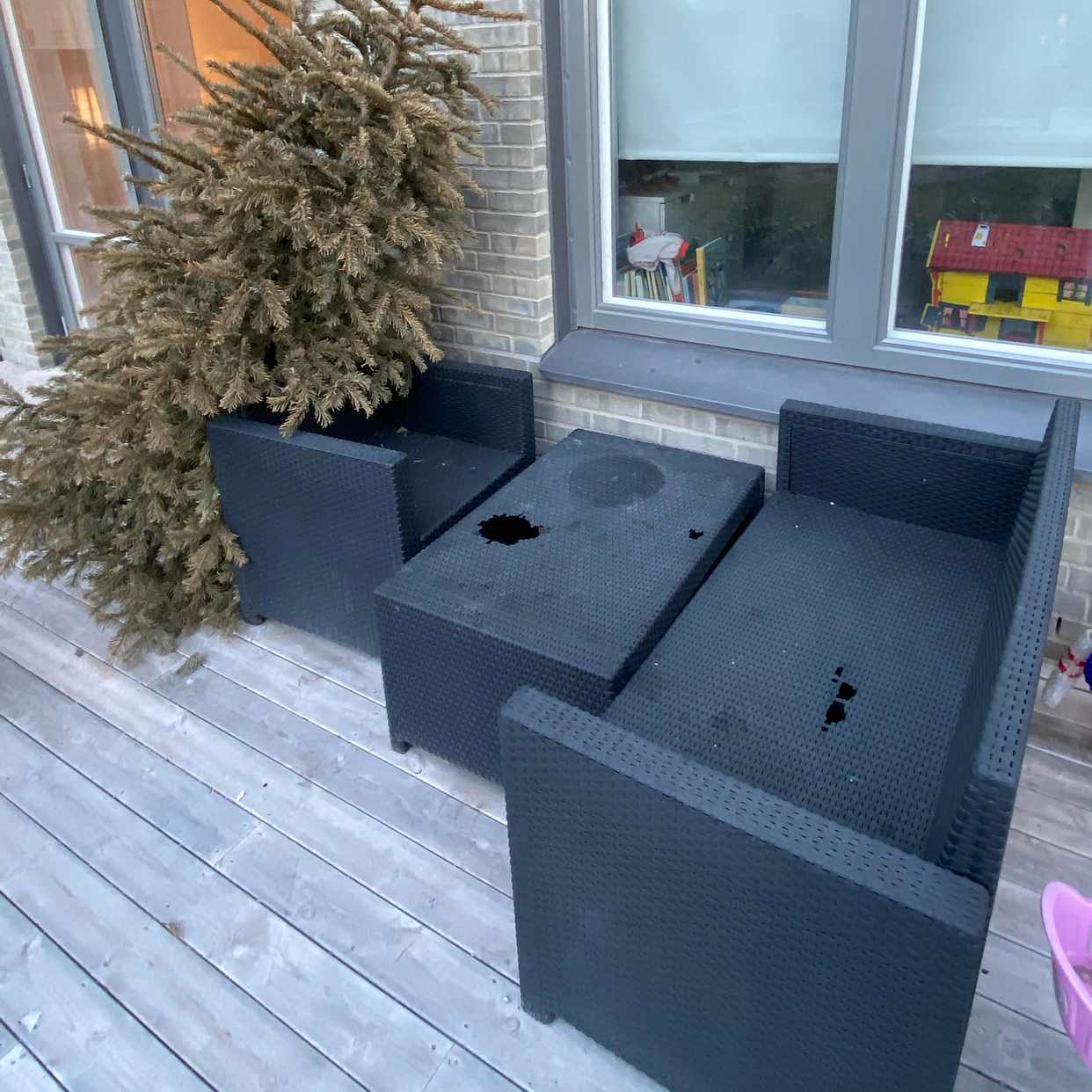 image of En gran, samt utemöbler - Täby