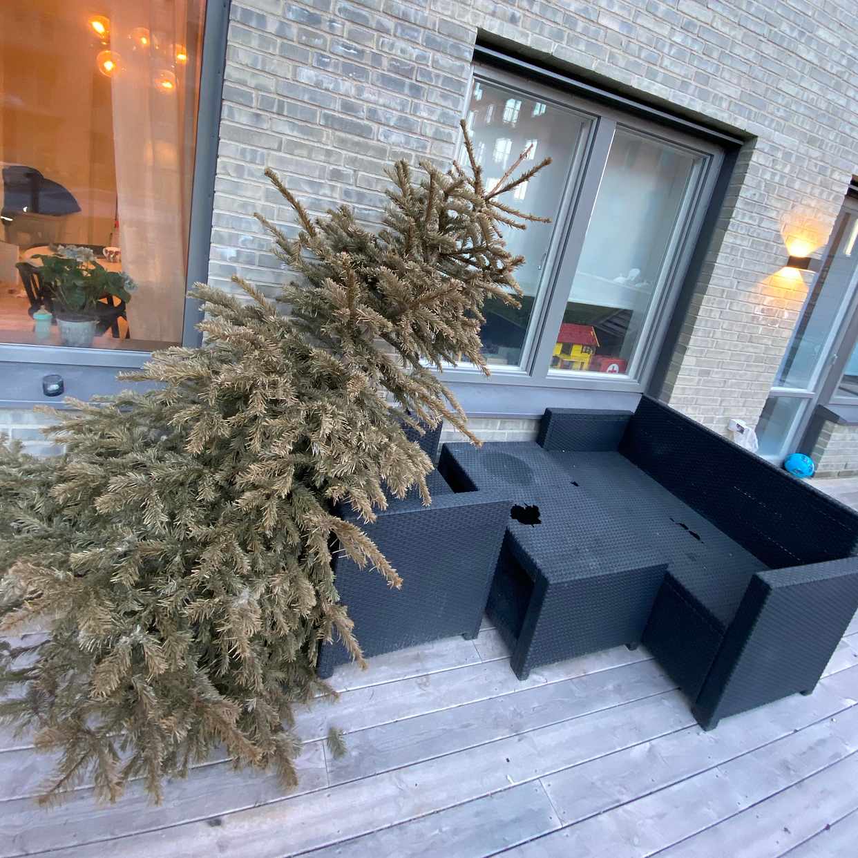 image of En gran, samt utemöbler - Täby