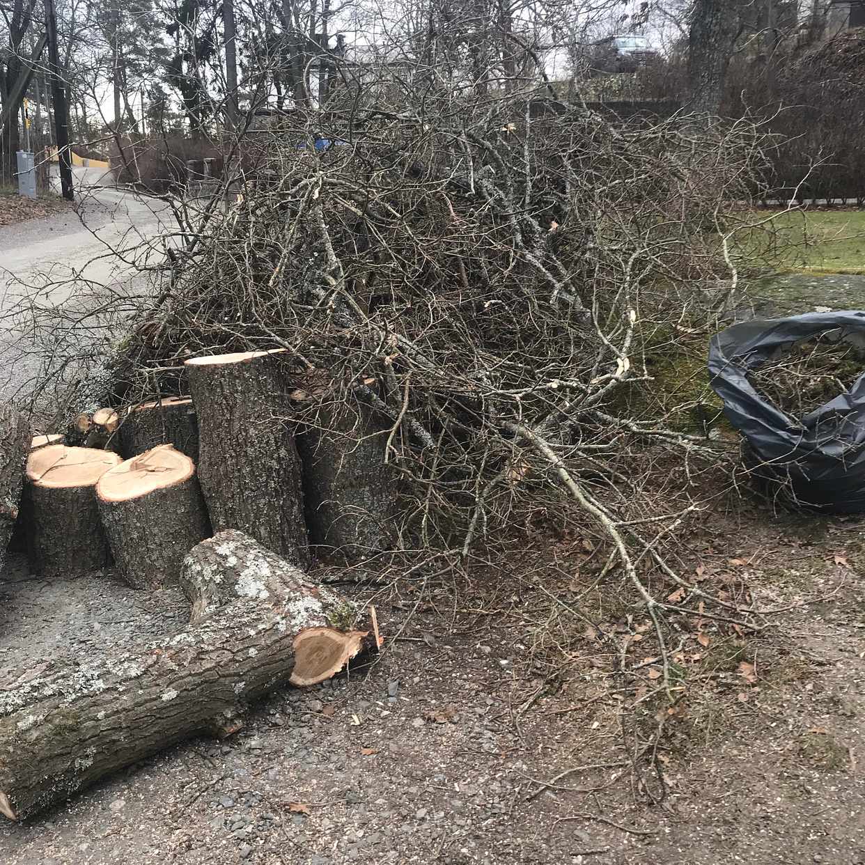 image of Trädgårdsavfall träd - Stocksund