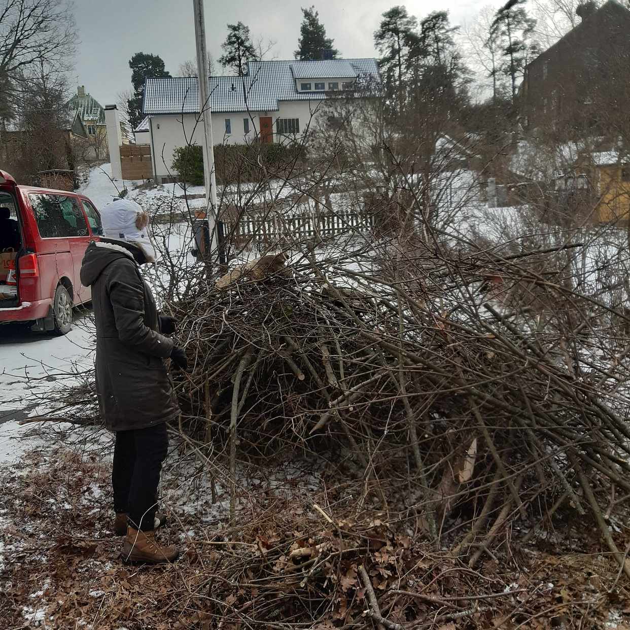 image of Kvistar o grenar - Stocksund