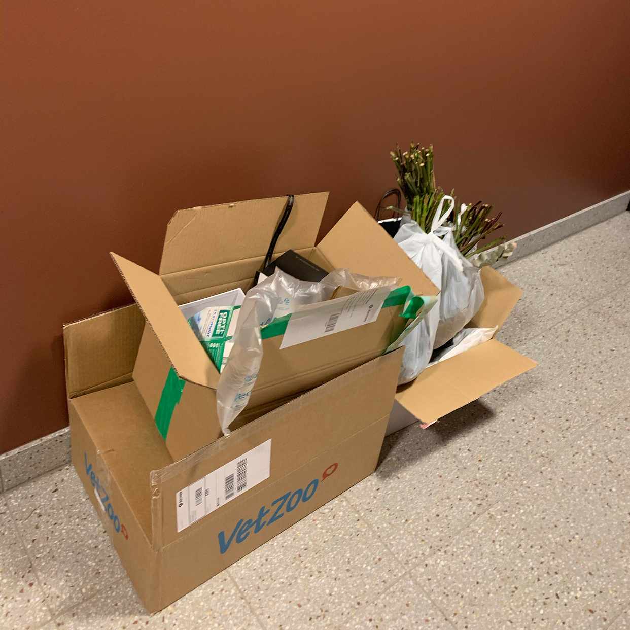 image of Cardboard and dead flower - Stockholm