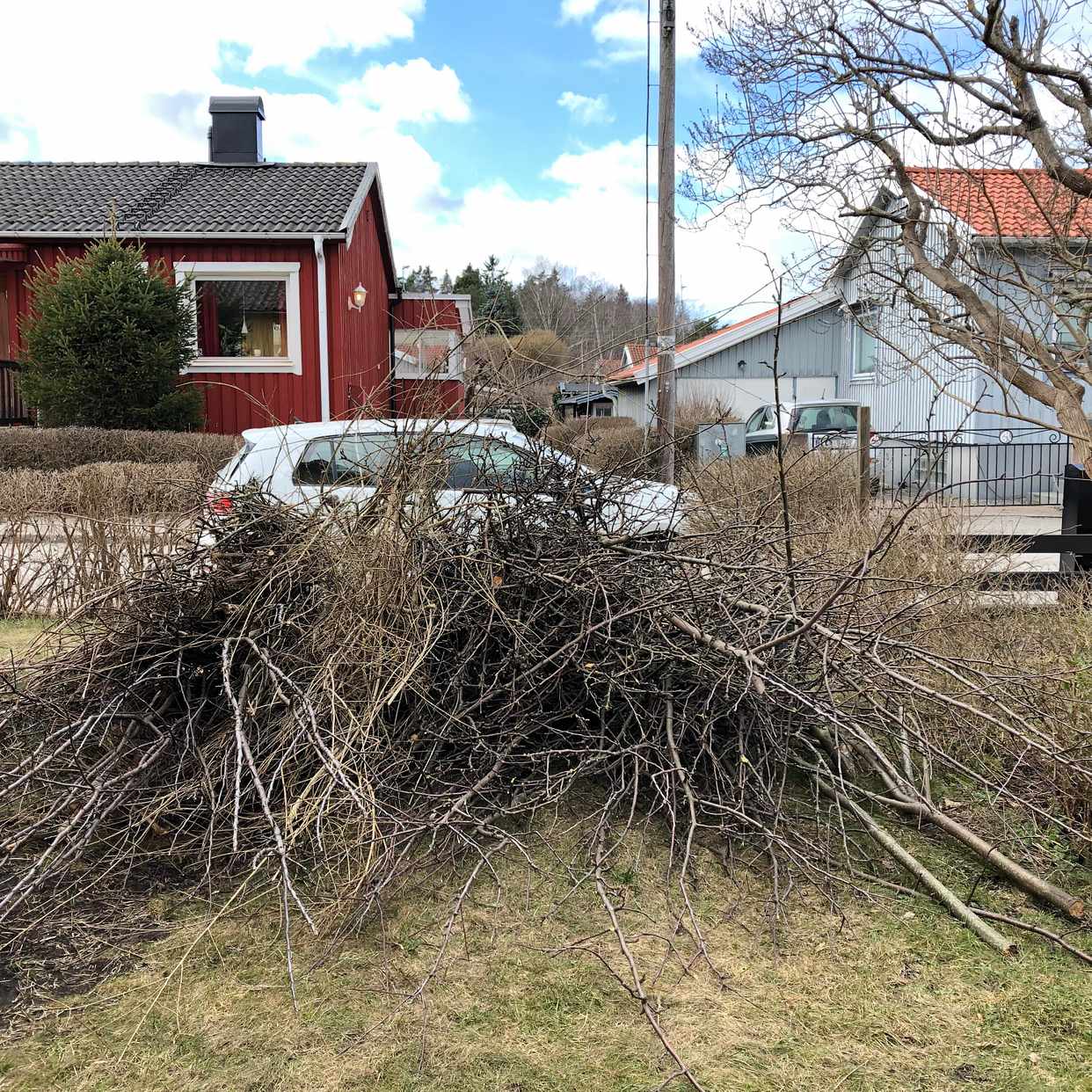 image of Bortforsling trädgrenar - Enskede