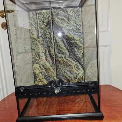 image of Litet terrarium i glas - 
