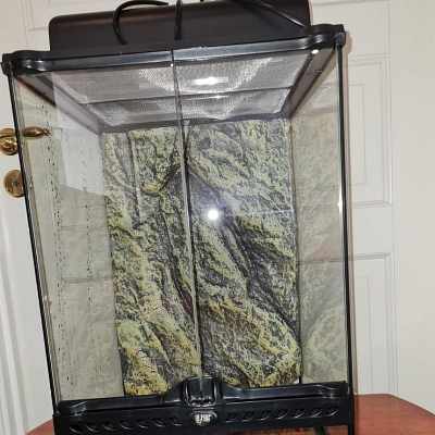 image of Litet terrarium i glas - 