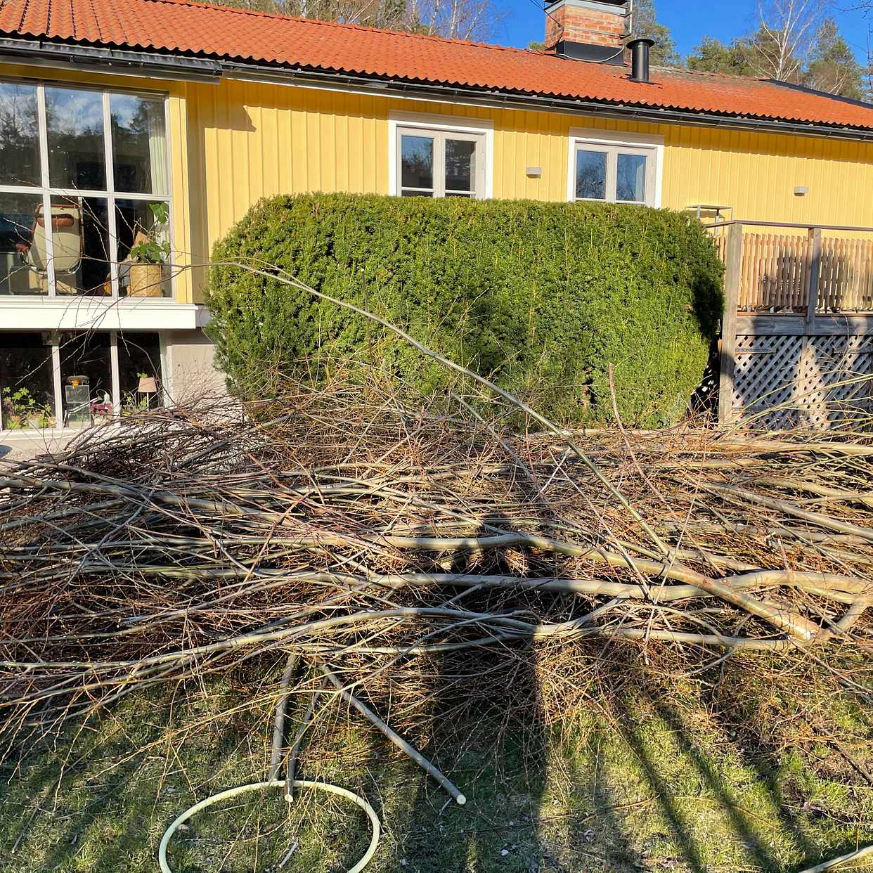 image of Hämta trädgårdsavfall - Spånga