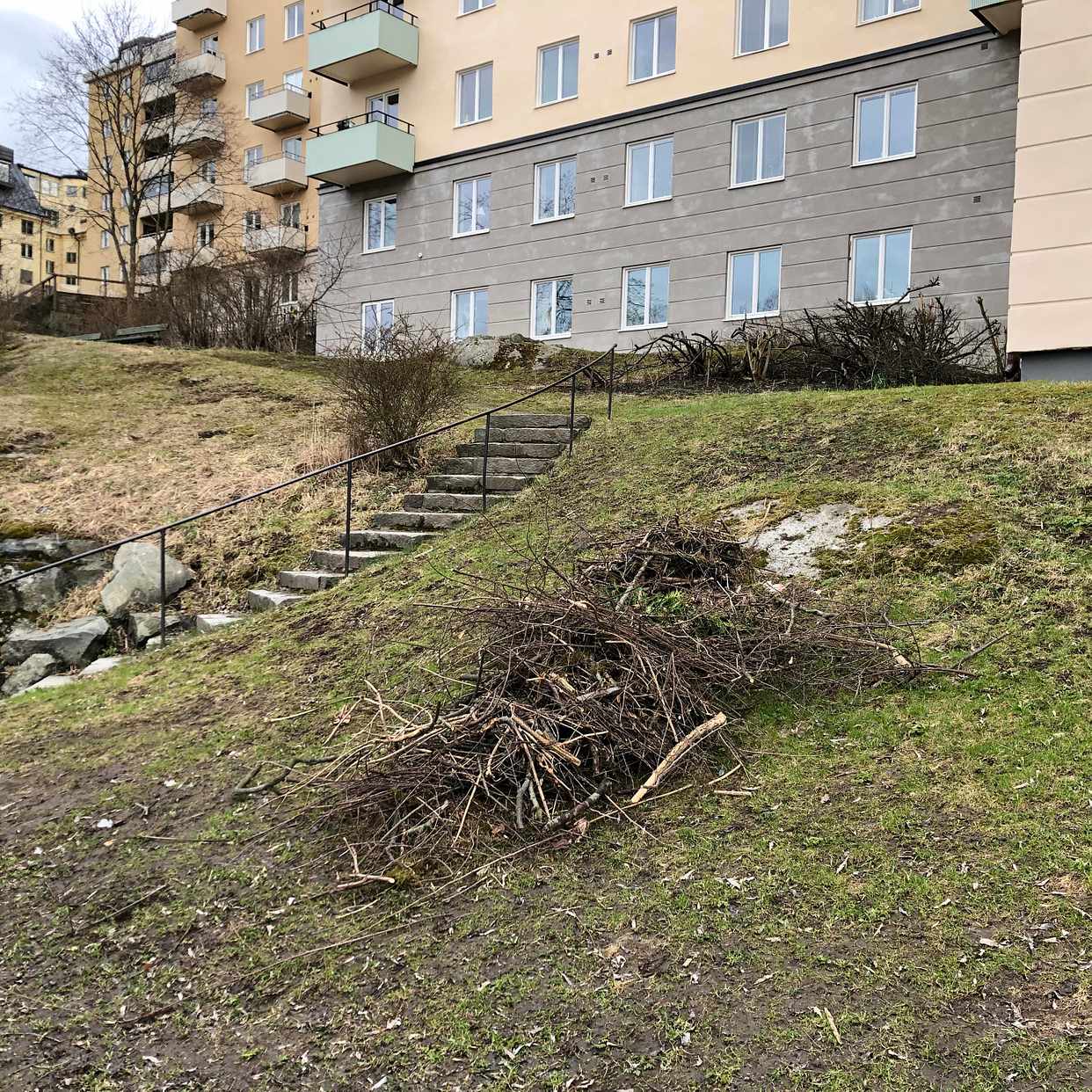 image of Grovsopor + trädgårdsrens - Stockholm