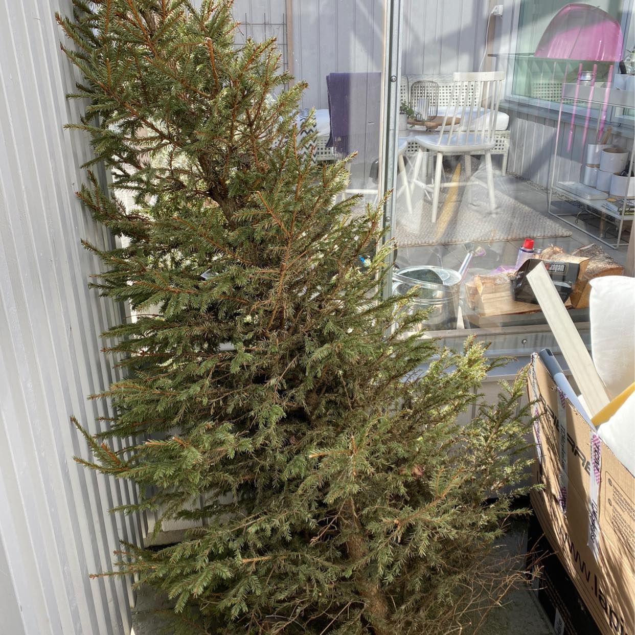 image of Take the pile away please - Bromma