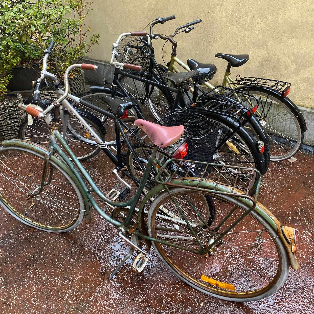 image of 5 cyklar bortskänkes - Stockholm