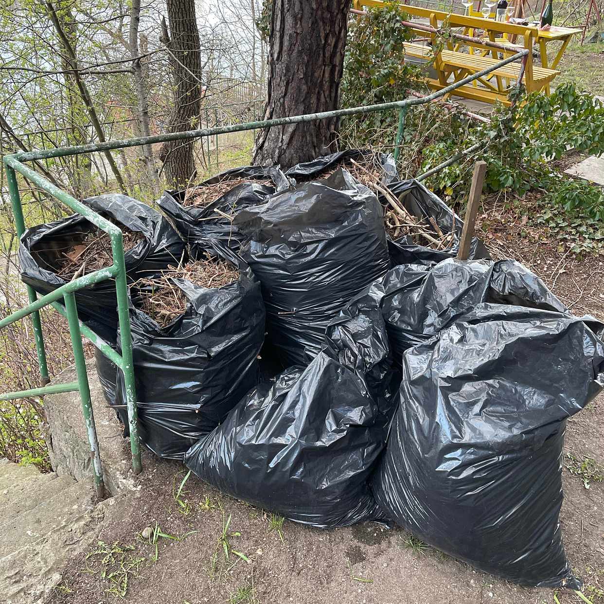image of 9 sopsäckar med trädgårds - Stockholm