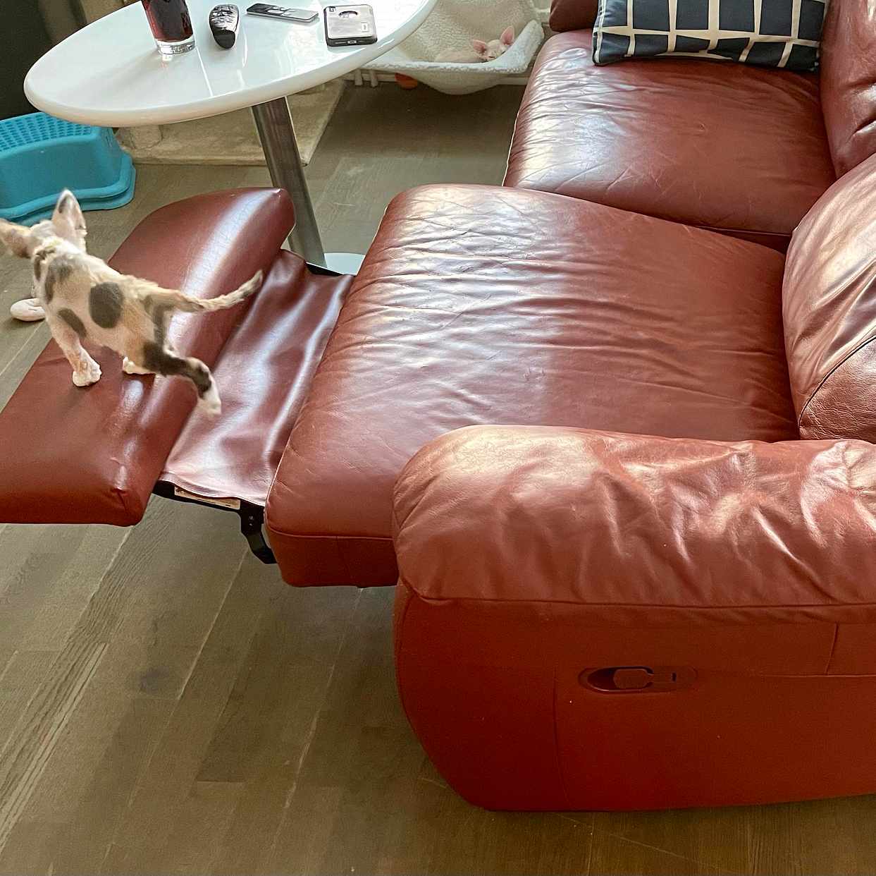 image of Lädersoffa m vilofunktion - Stockholm City