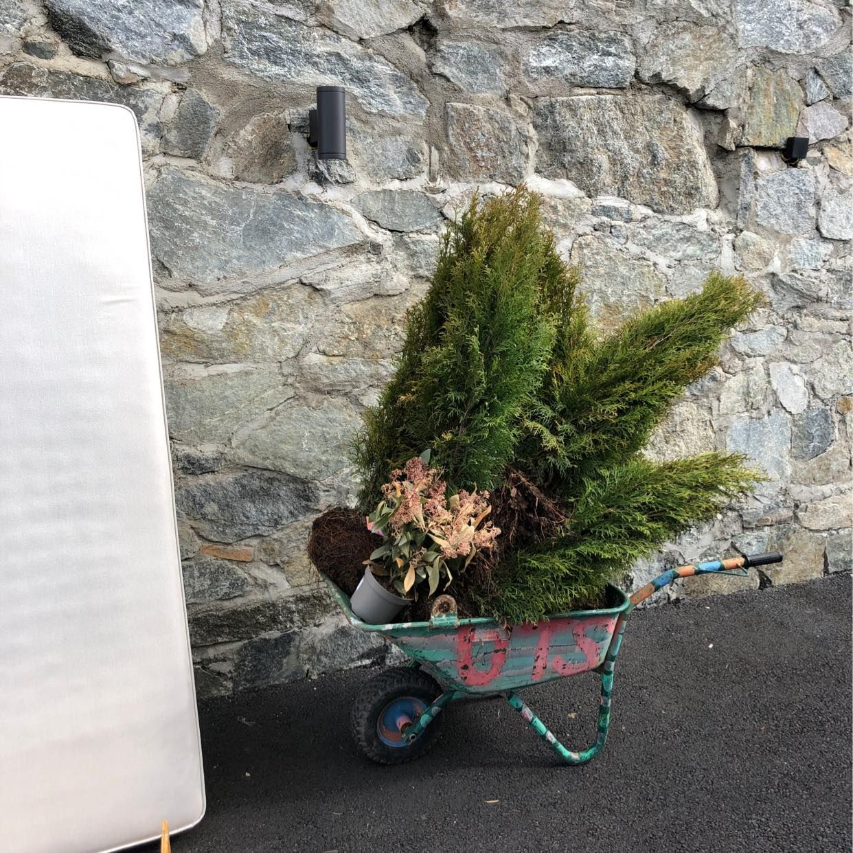 image of Bed, pillows, bushes - Torslanda