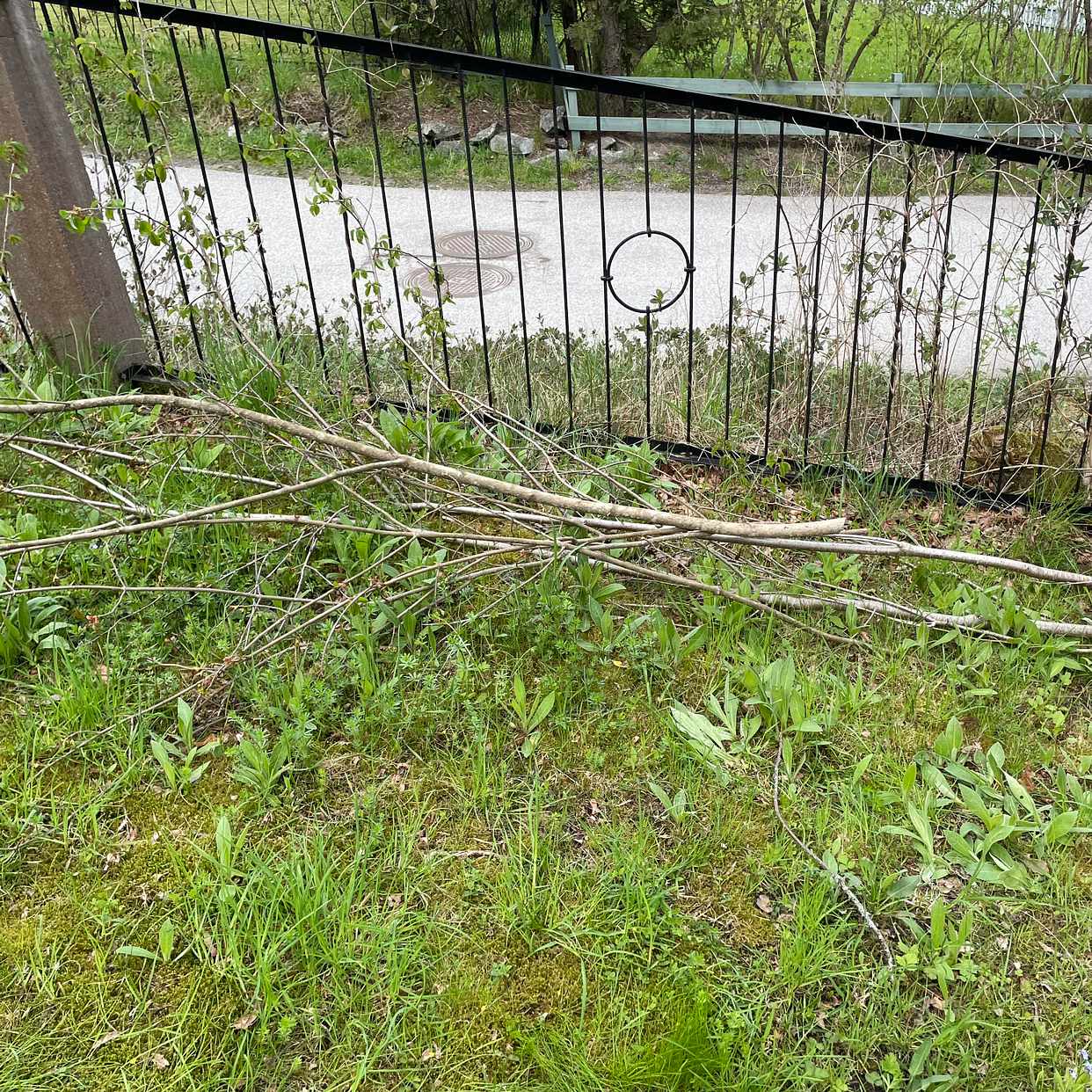 image of Trädgårdsavfall mm - Djursholm