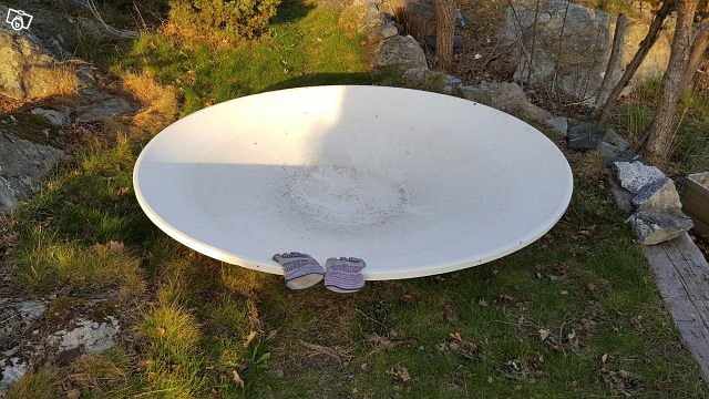 image of Damm för vacker trädgård - 