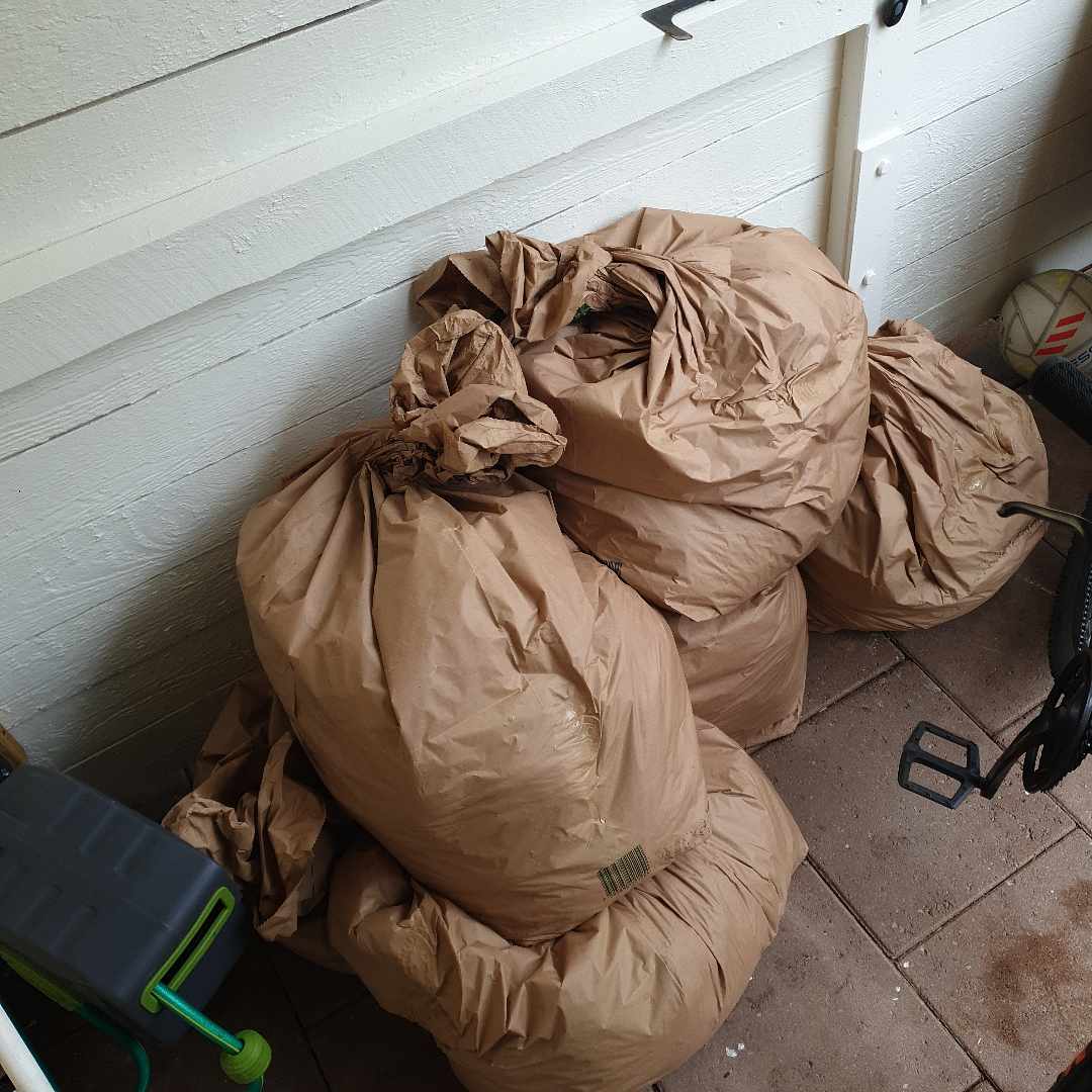 image of 6 papppåsar med jord. - Tullinge
