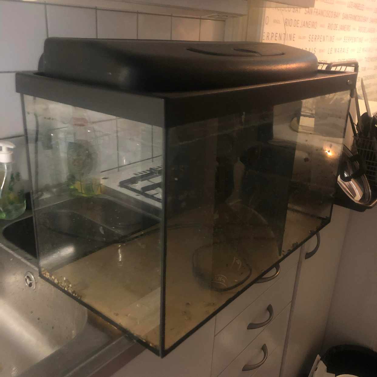 image of Akvarium med lock - Stockholm