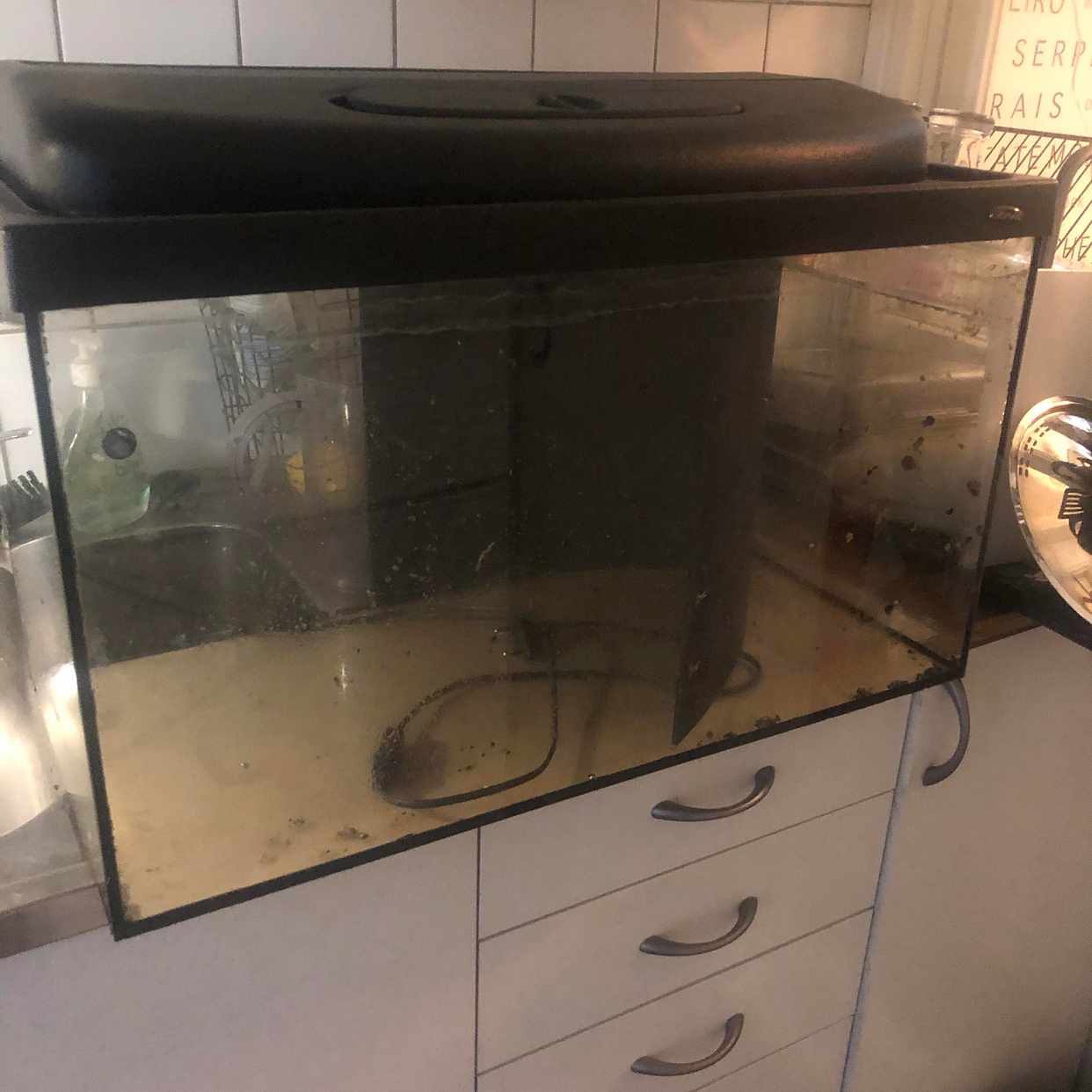 image of Akvarium med lock - Stockholm