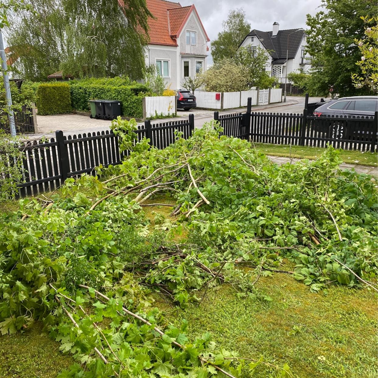 image of Grenar och kvistar - Åkarp