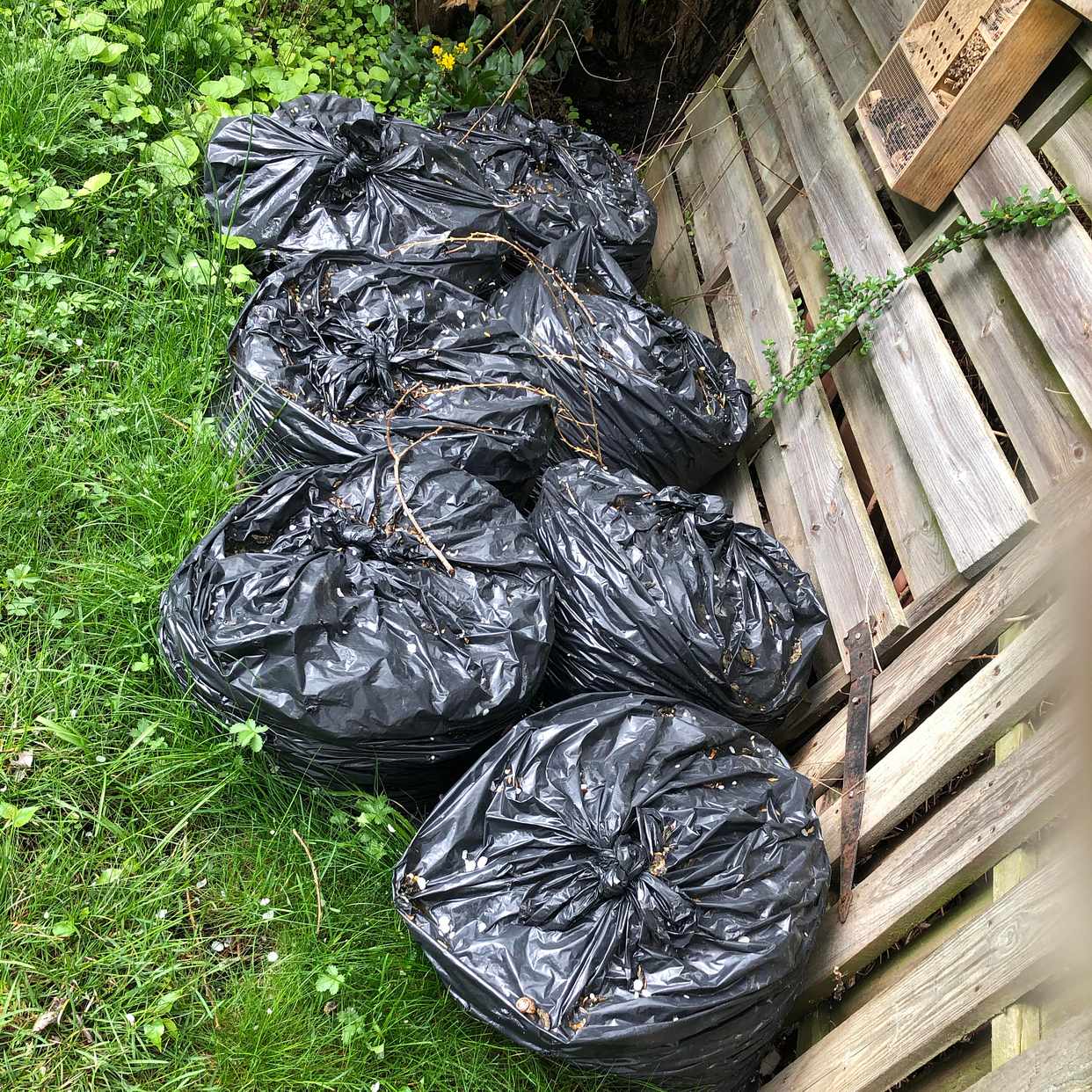 image of Garden waste, wood etc - Vällingby