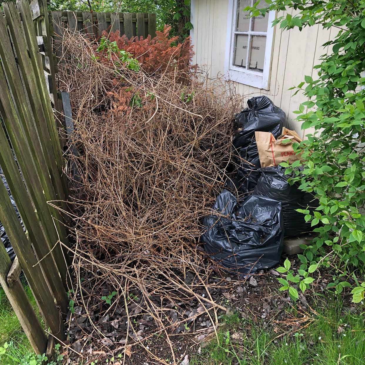 image of Garden waste, wood etc - Vällingby